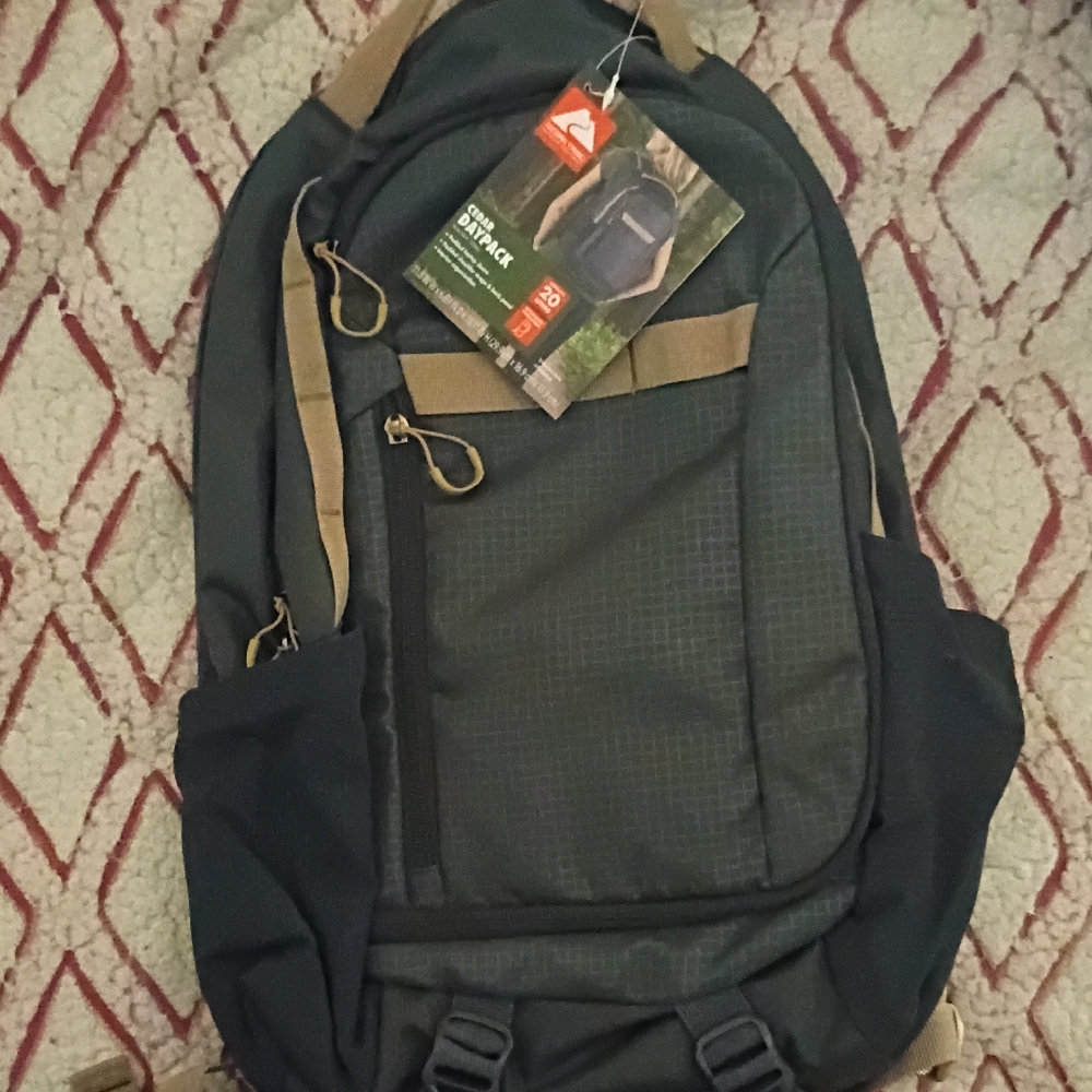 Quiksilver Black and Brown Backpack